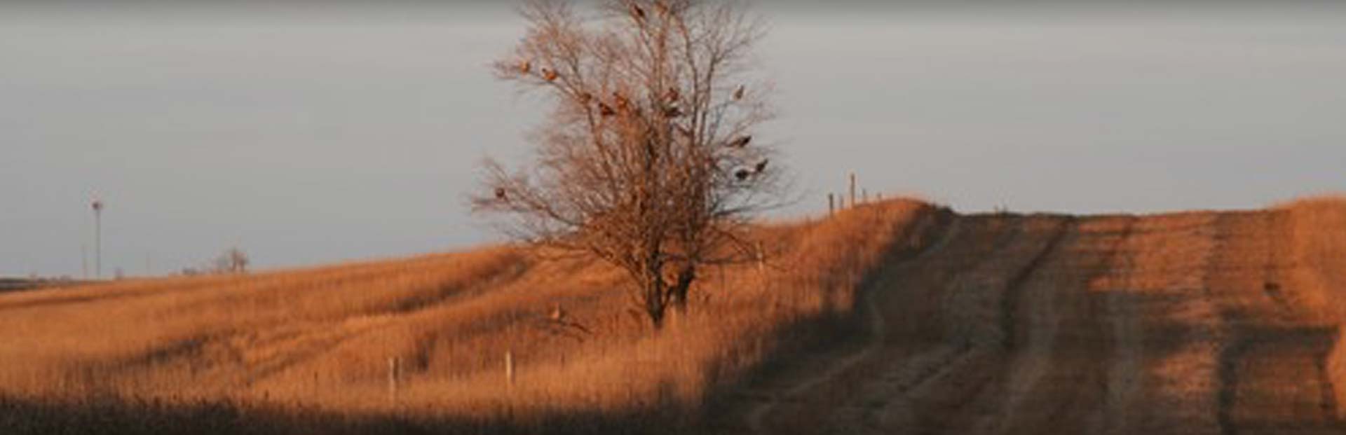 Reservations Reservations