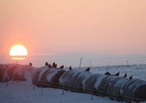 Pheasant City Lodge Scenery Habitat photo gallery.