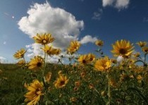 Pheasant City Lodge Scenery Habitat photo gallery.