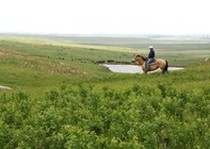 Pheasant City Lodge Scenery Habitat photo gallery.